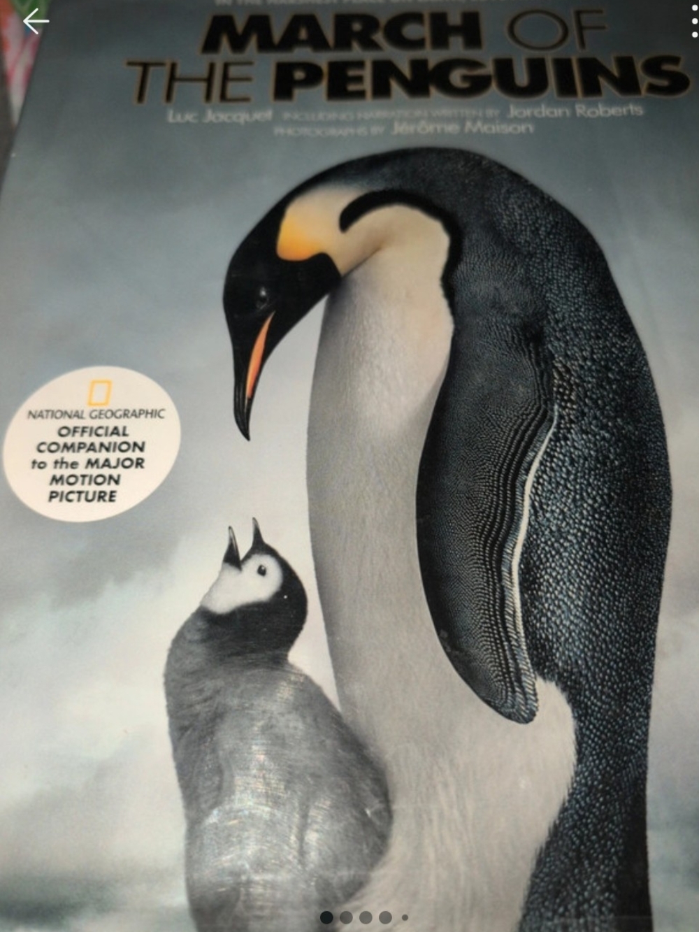 National Geographic Emperor Penguin Cover - Black, White & Yellow